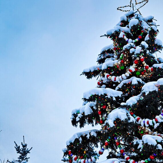 Fun History Bits on How Christmas Trees Started in Old Europe